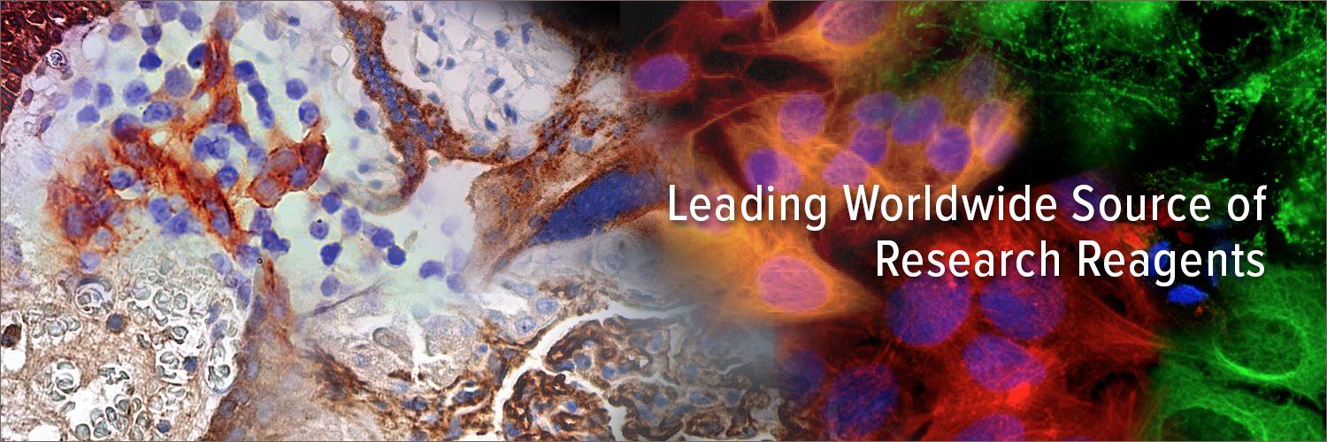 Santa Cruz Biotechnology banner