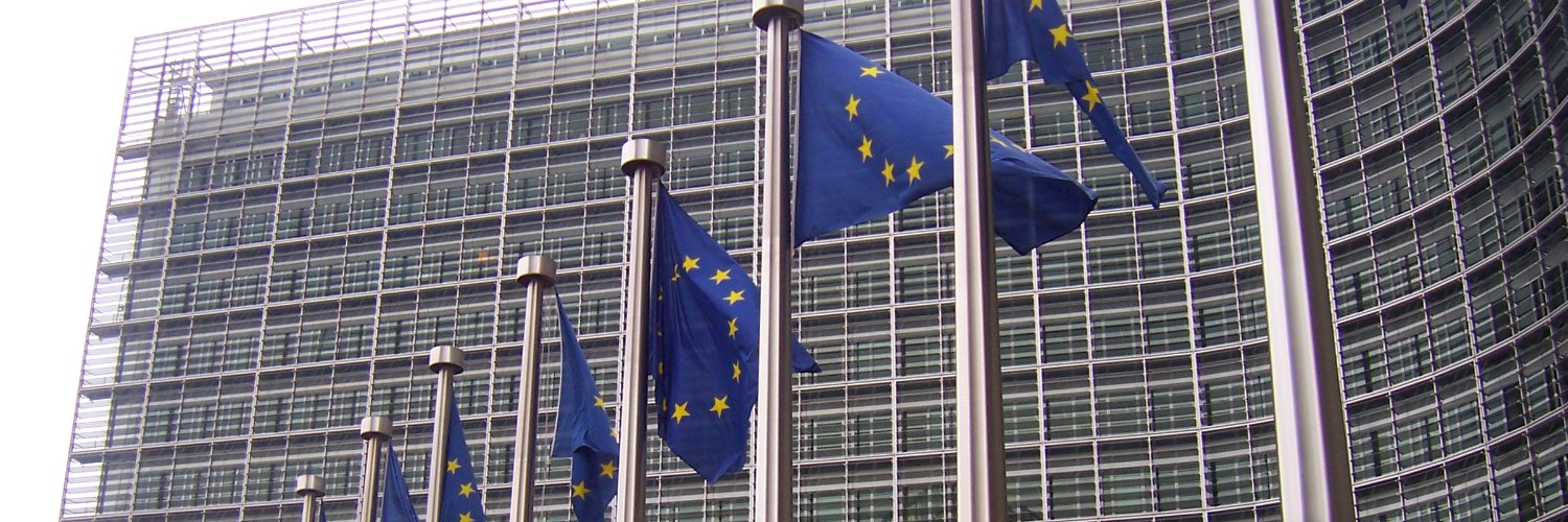 Reale_EU's profile banner image