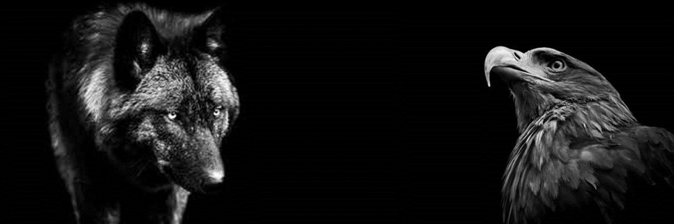 mhm1903bjk's profile banner image