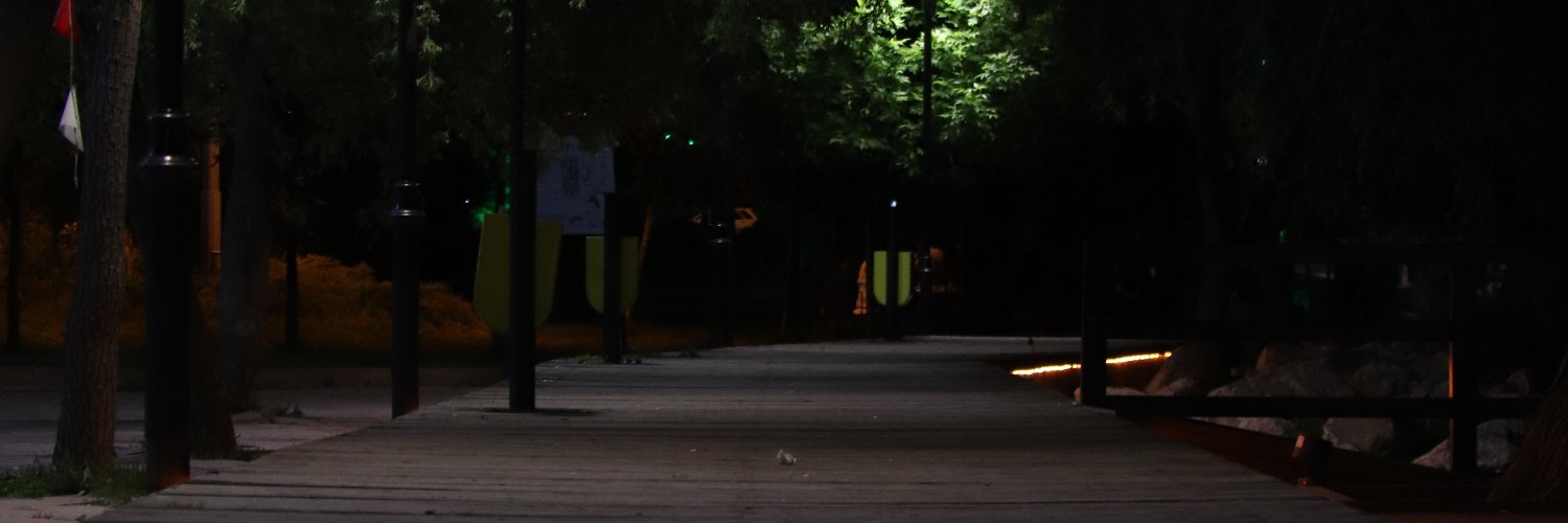 peyvest's profile banner image