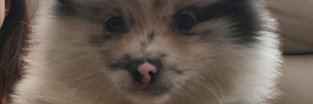 andgoodale's profile banner image