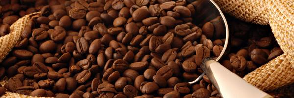 boydscott Profile Banner