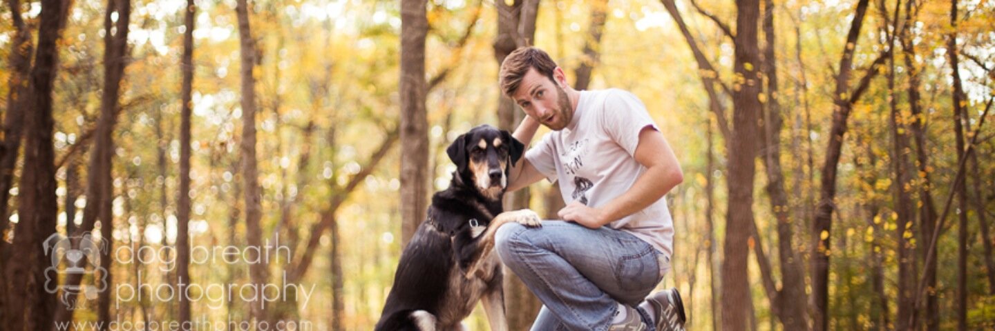 DogsToKevin's profile banner image