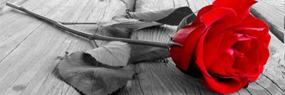 joijce's profile banner image