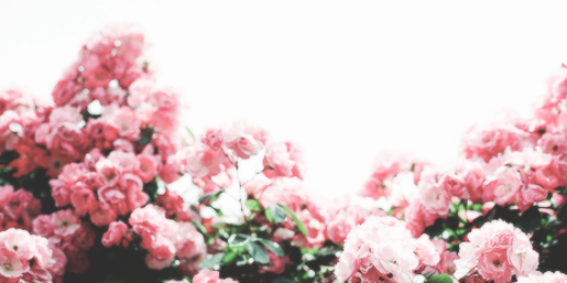 prettylefty's profile banner image