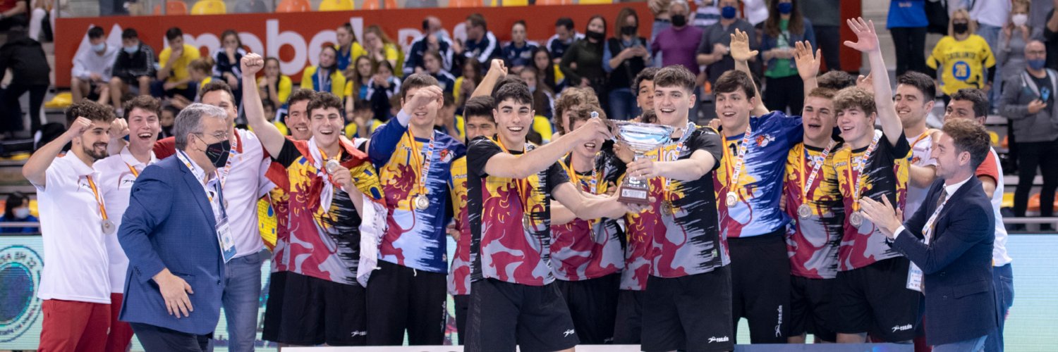 Federación de Castilla y León de Balonmano banner
