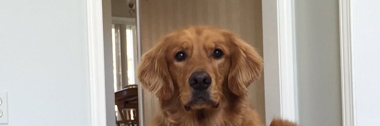 tmandel97's profile banner image