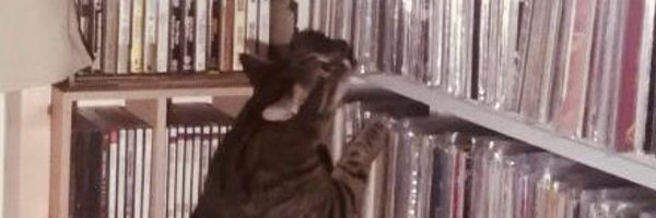 fzaofficial Profile Banner