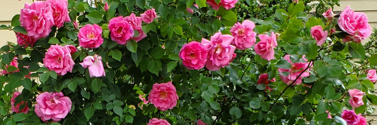 herstang's profile banner image