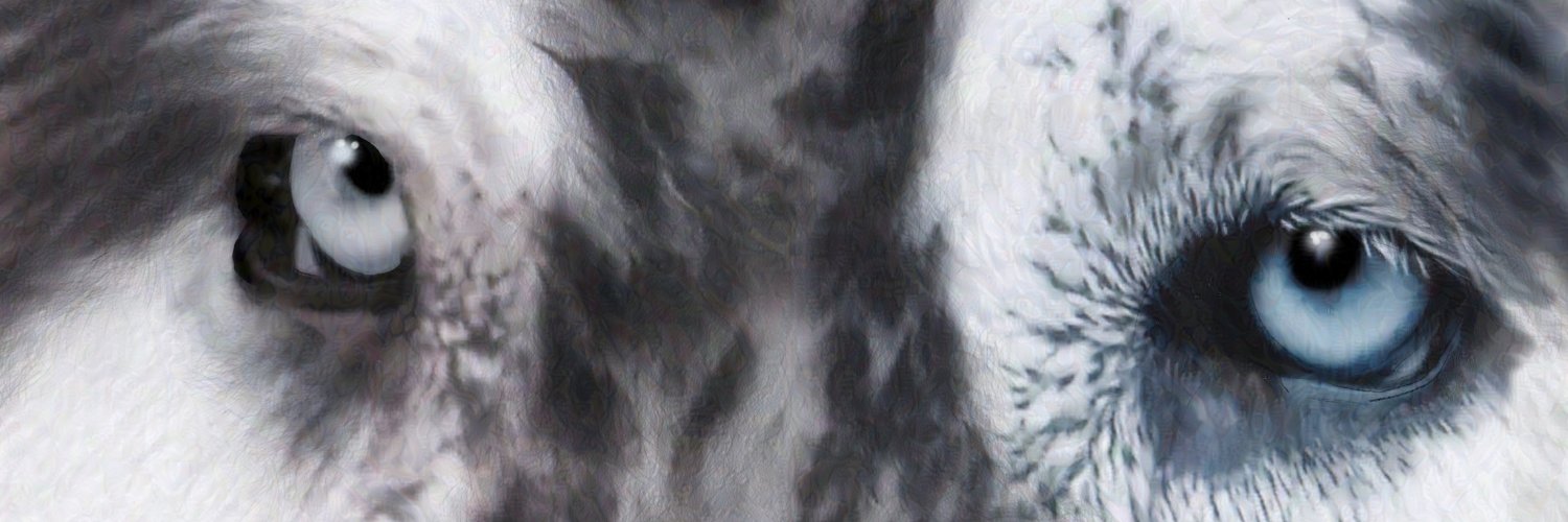 RavenSongArt's profile banner image
