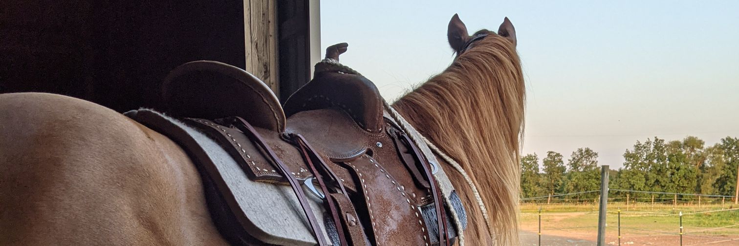 stressy bessy 🦋 banner