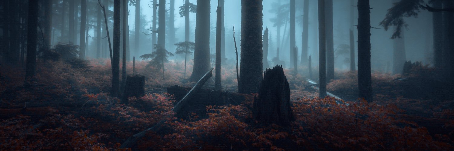 fastwideslow's profile banner image