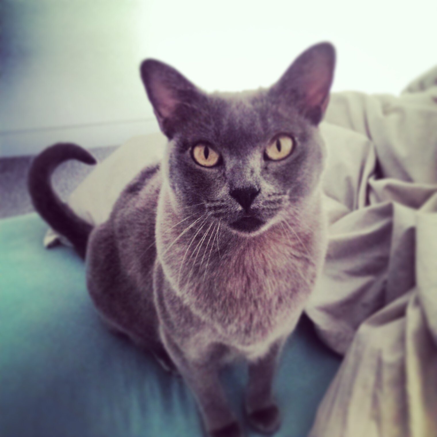 Bronwyn Kabboord banner