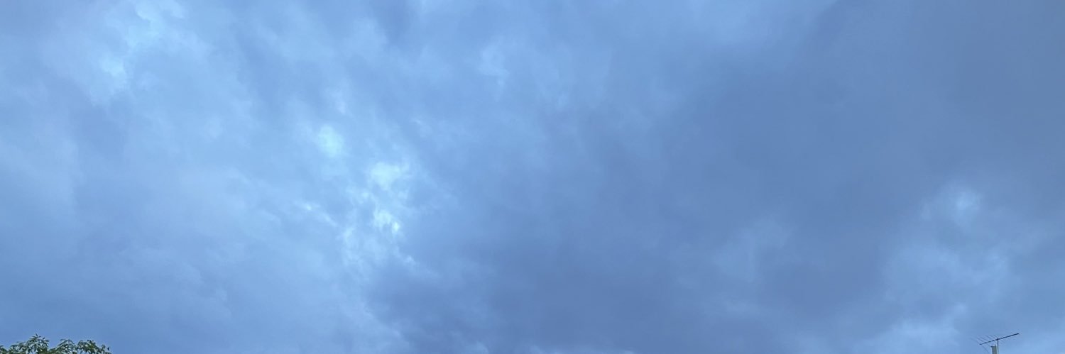viguri_'s profile banner image