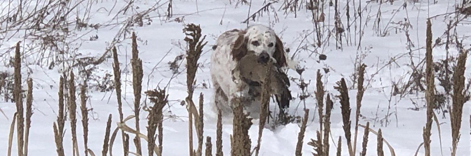 ChuckTheSetter's profile banner image