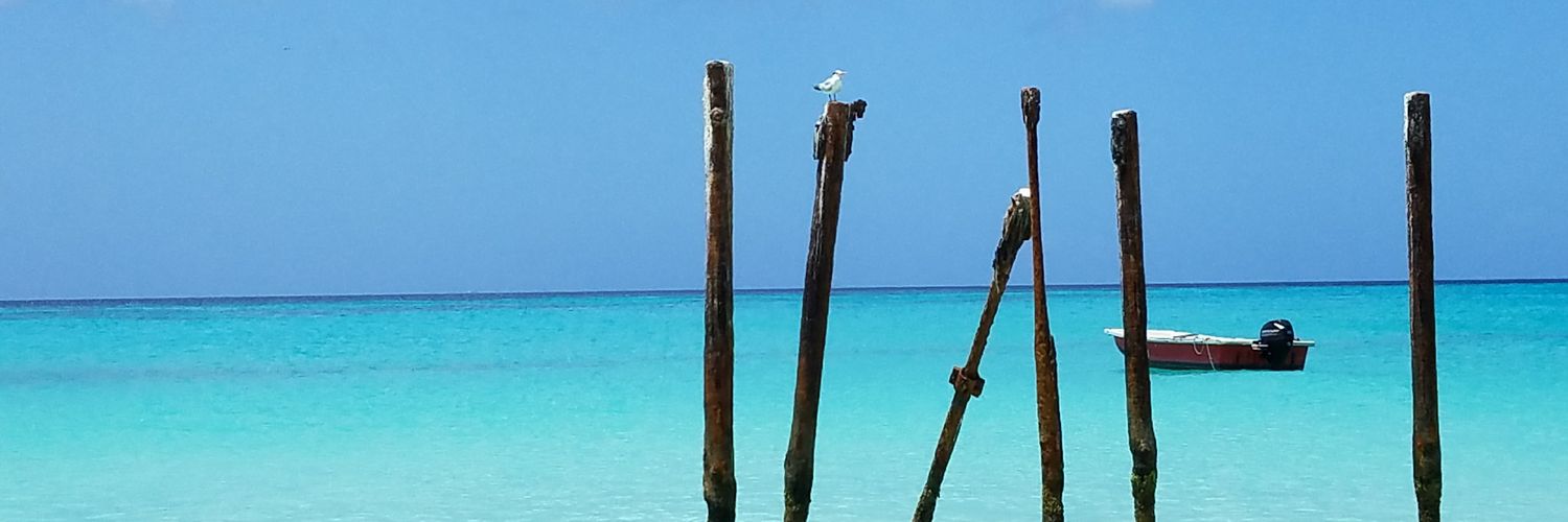 thetowergoes's profile banner image