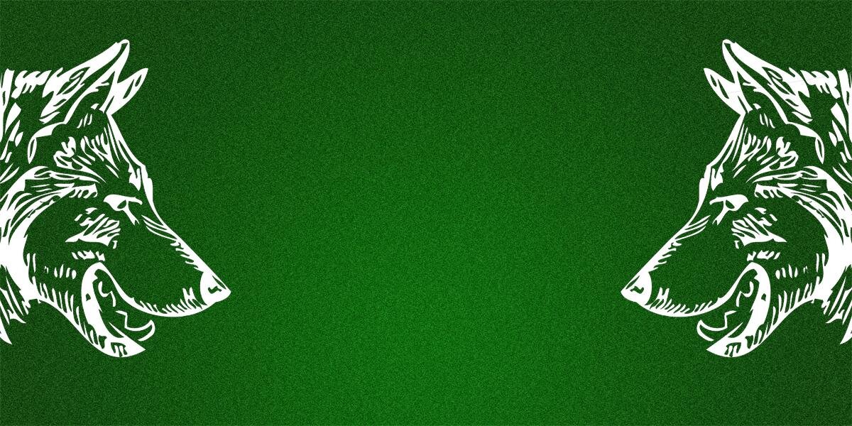 OldValorMedia's profile banner image