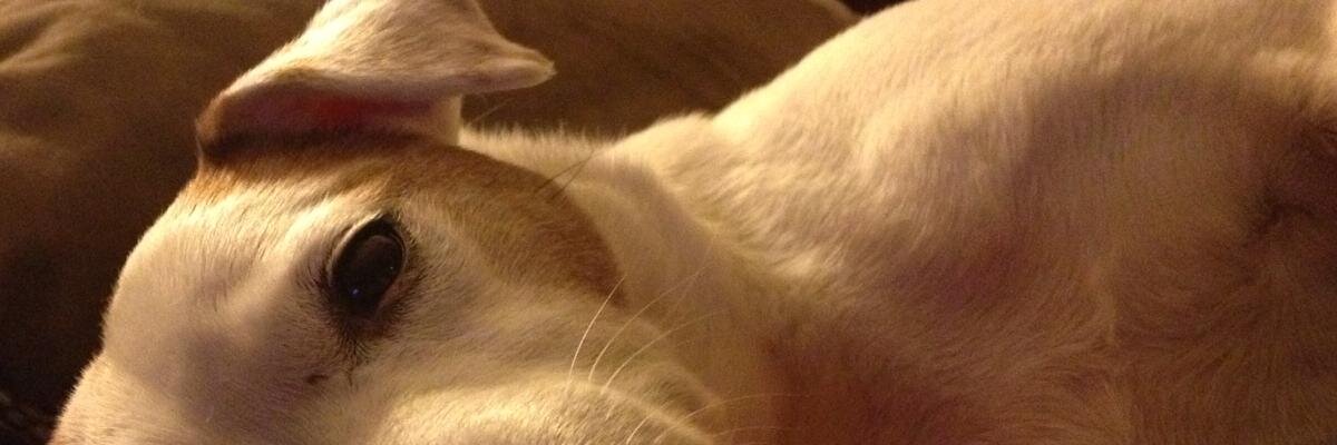 dep_star's profile banner image