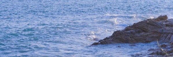 abrilacunapi's profile banner image