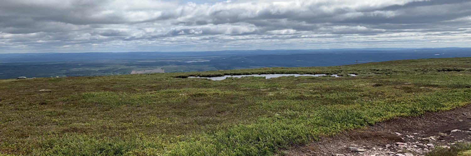 Sanna 🌲🌳🌿 banner