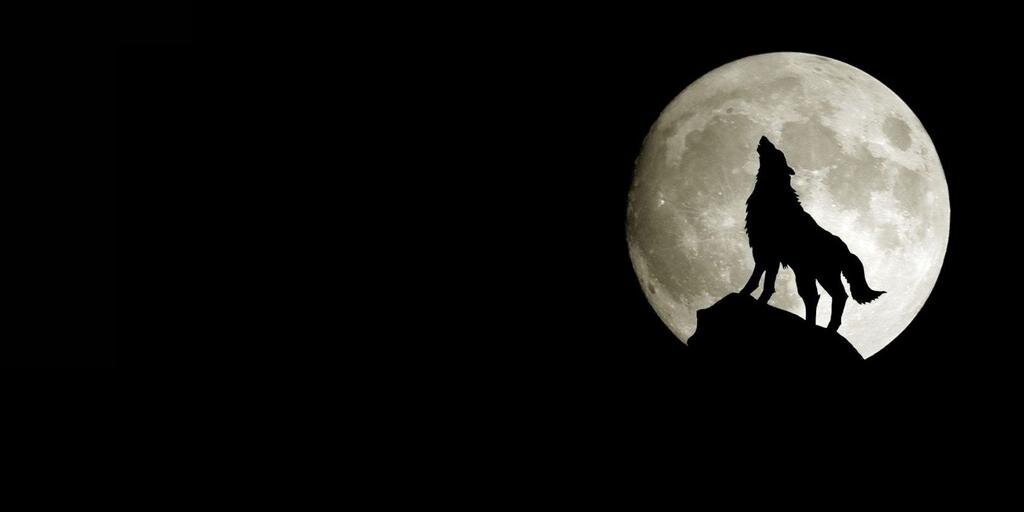 sleepwalkingfck's profile banner image