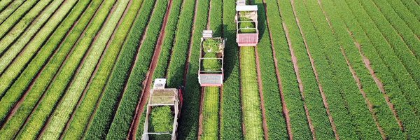 IntFreshProduce Profile Banner