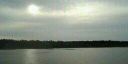Paloma_JSC's profile banner image