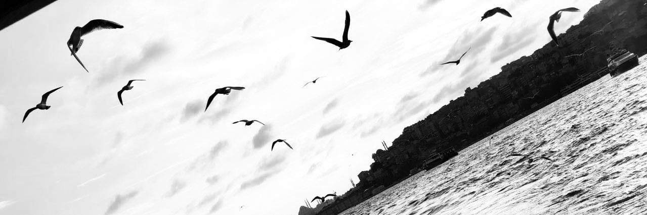 ebuokumus's profile banner image