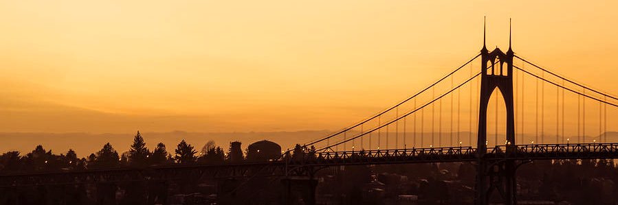 kelterrill's profile banner image