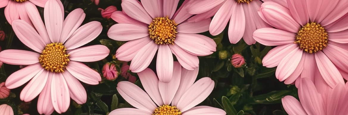 VictoriaLeroux1's profile banner image