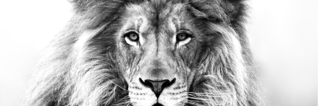 king_trey034's profile banner image