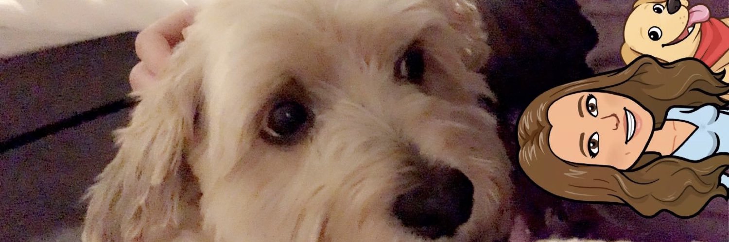 cattface11's profile banner image
