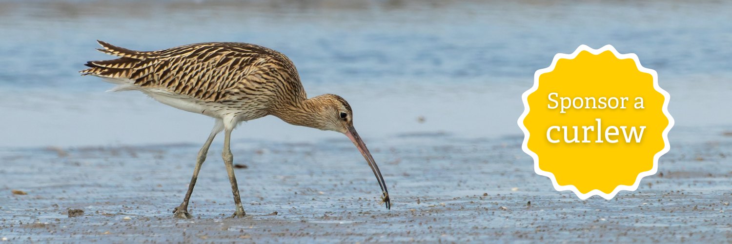 ShropsWildlife's profile banner image