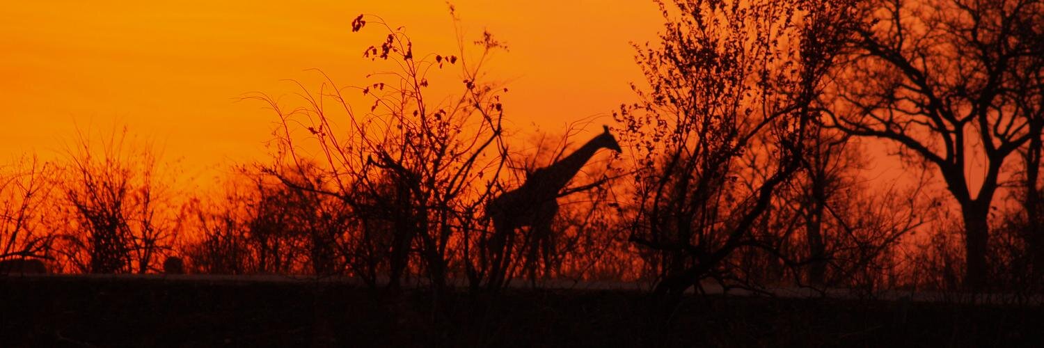 P Prins. 🇨🇿 🇿🇦 banner