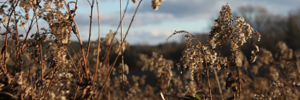 Marc Proudfoot banner