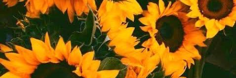 rhayprovensi's profile banner image