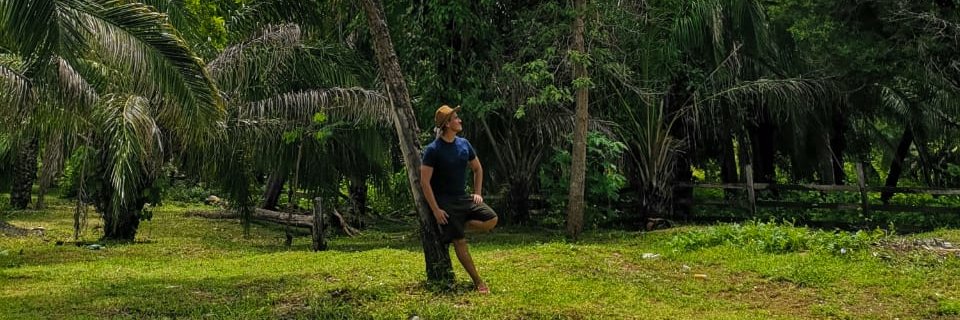 gildder 💻 💚 banner