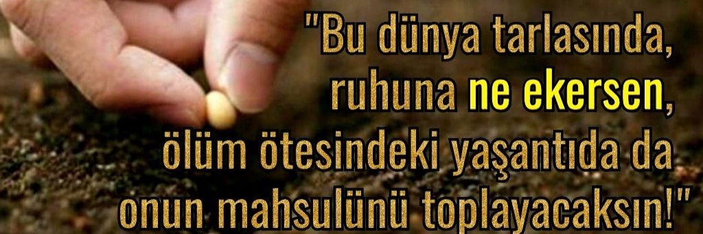 haykasapoglu's profile banner image