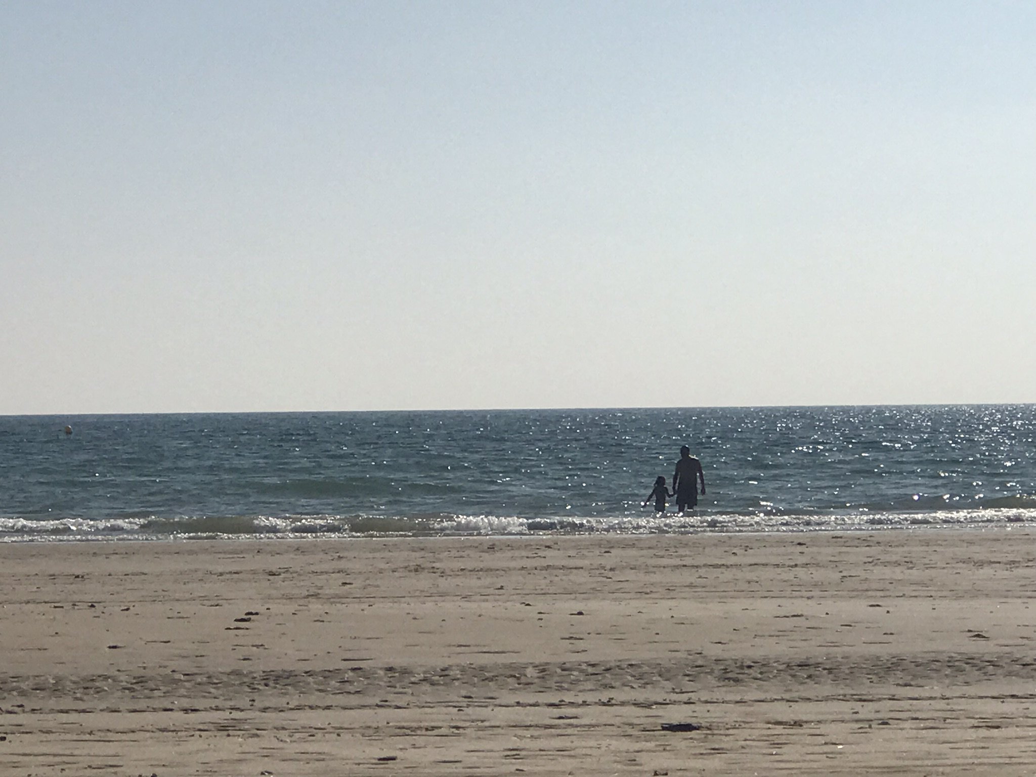 MJose Pereira banner