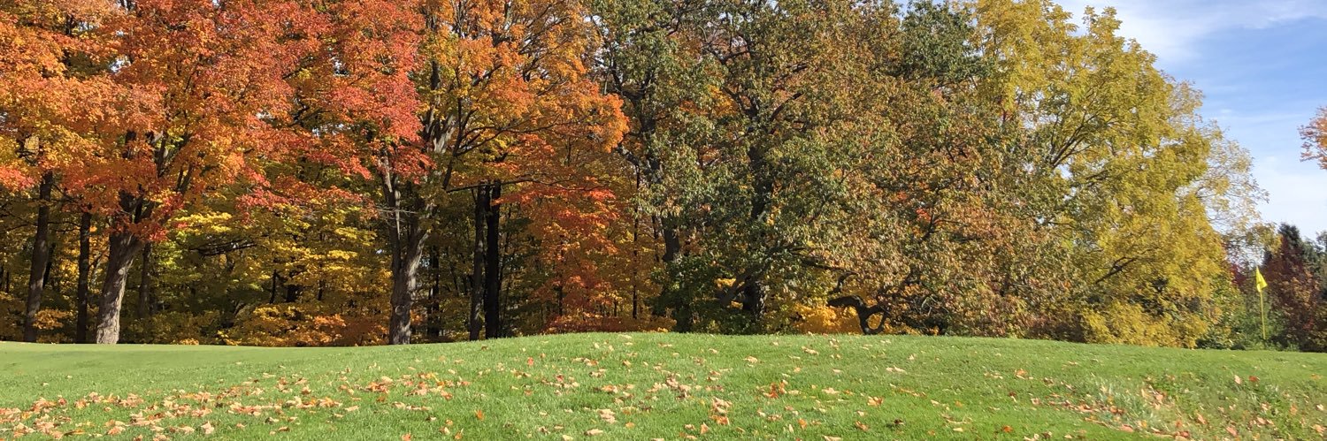 GoliathGolf's profile banner image