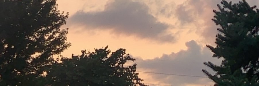 thicthighthotty's profile banner image