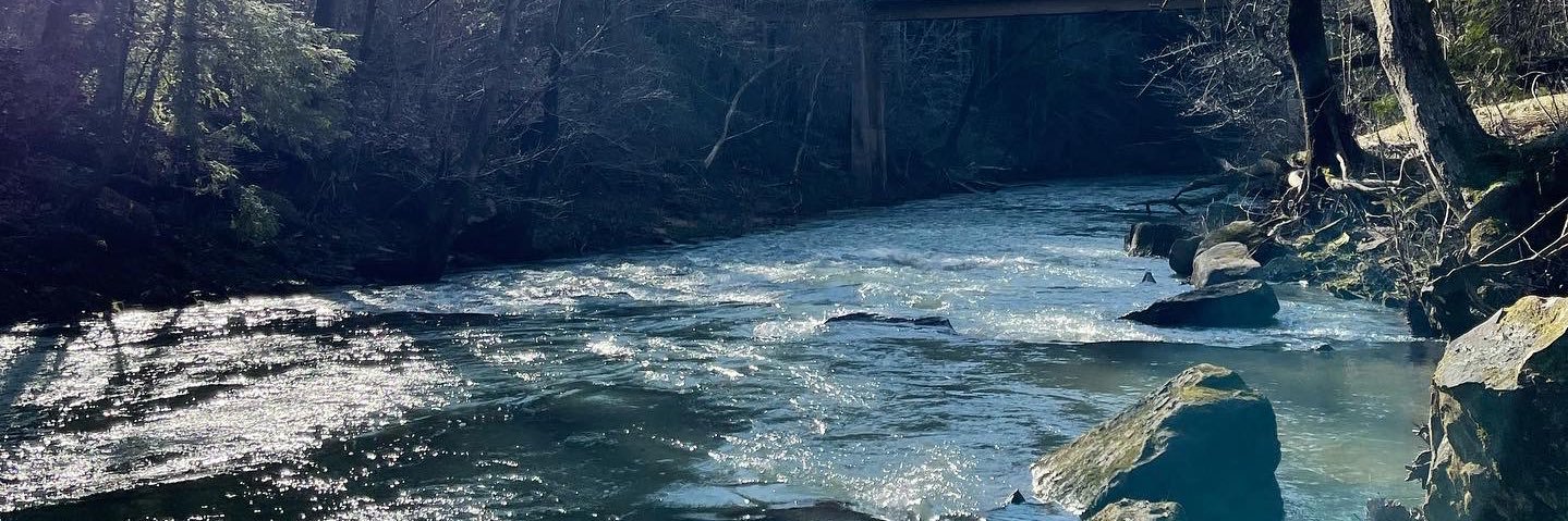 Col. Brian Sutton banner