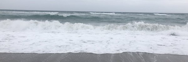 Twyrion Profile Banner