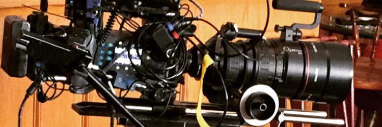 Oneleaflow_chaz's profile banner image