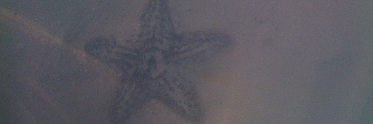 johnsonvickid's profile banner image