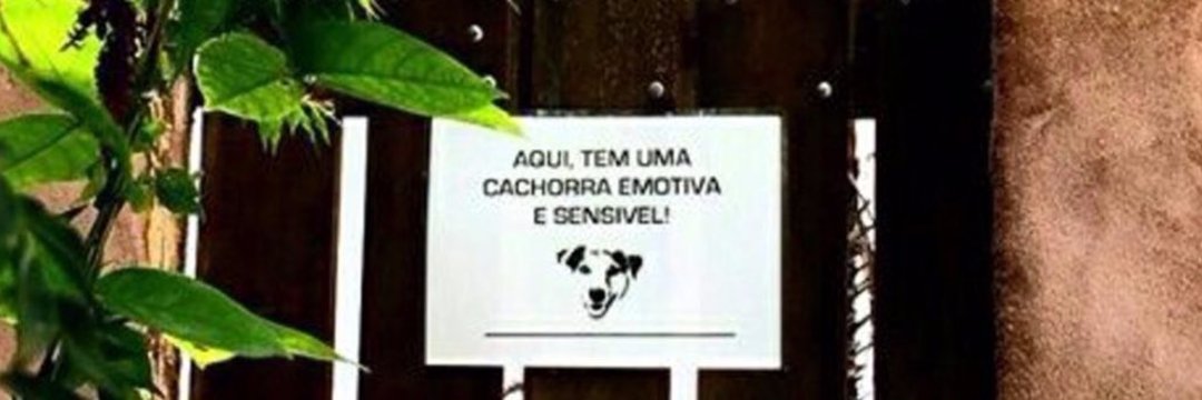 aoiborges's profile banner image