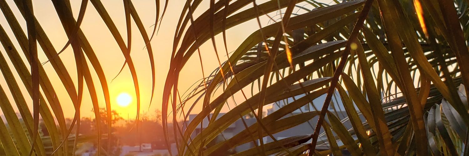gu_chae's profile banner image