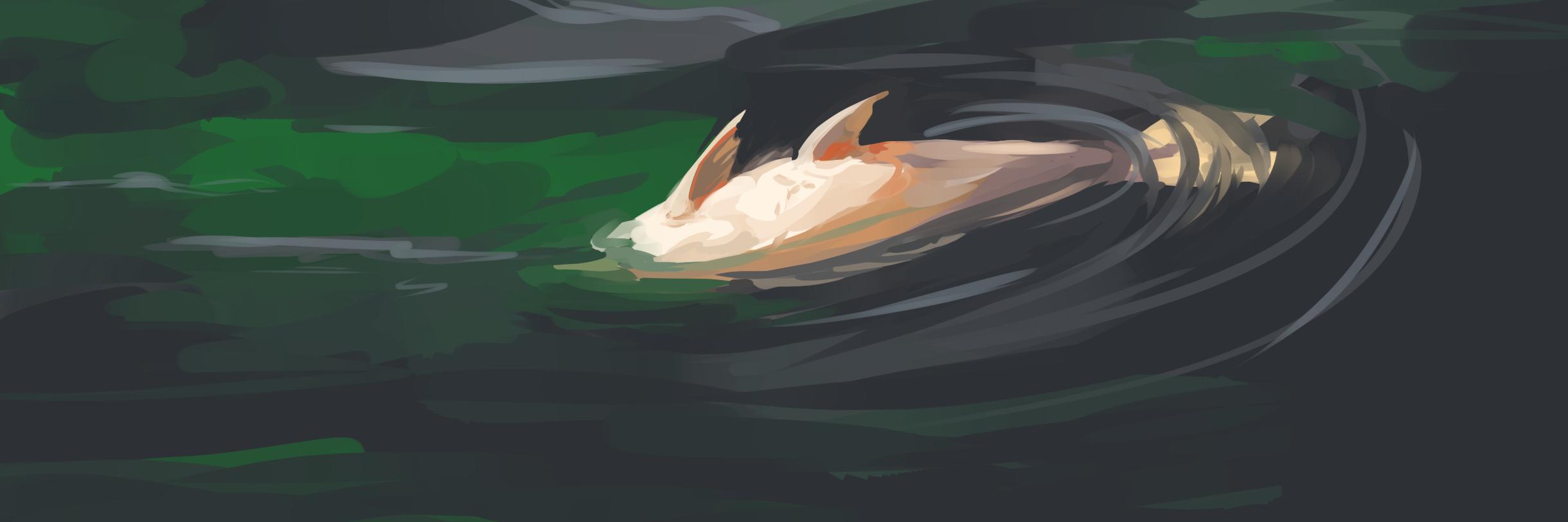 glitch_fish's profile banner image