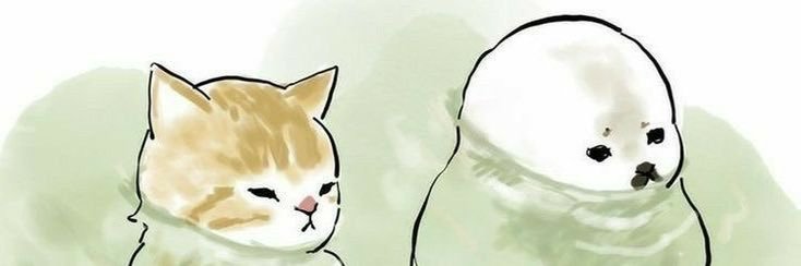 sheesdara's profile banner image