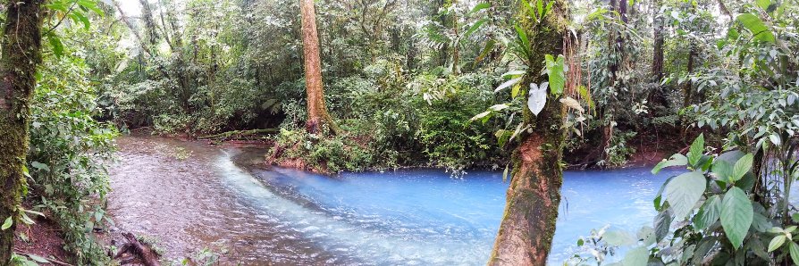 Elisabeth Busch banner